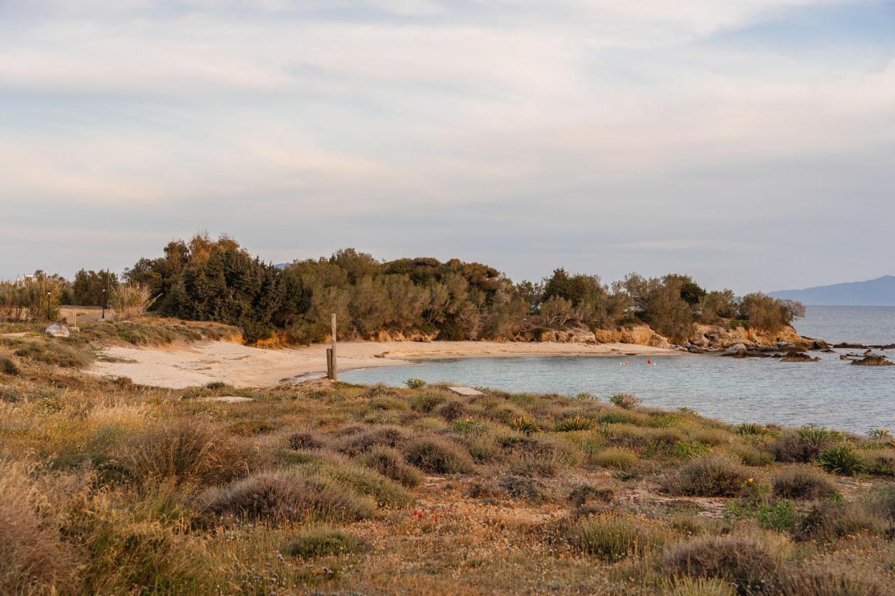 Villa Nausicaa Kastraki Naxos Naxos City المظهر الخارجي الصورة